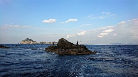 しば渡船 釣果