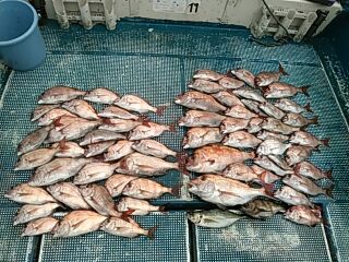 フィッシングガイド りょう 釣果