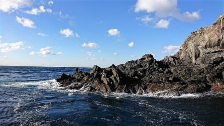 しば渡船 釣果