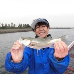 尼崎市立魚つり公園 釣果