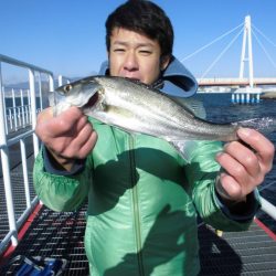 尼崎市立魚つり公園 釣果