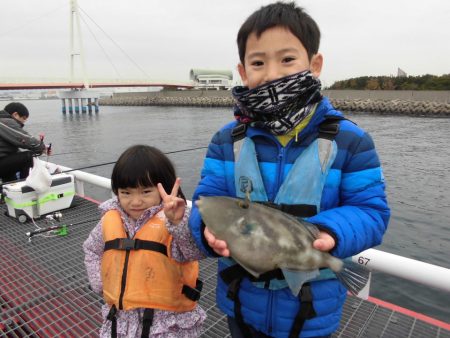 尼崎市立魚つり公園 釣果