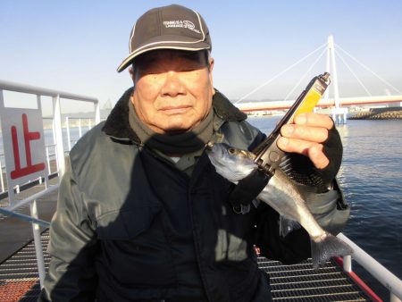 尼崎市立魚つり公園 釣果