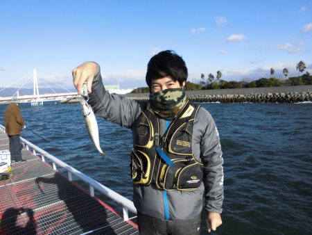 尼崎市立魚つり公園 釣果