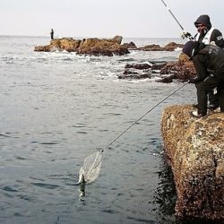 しば渡船 釣果