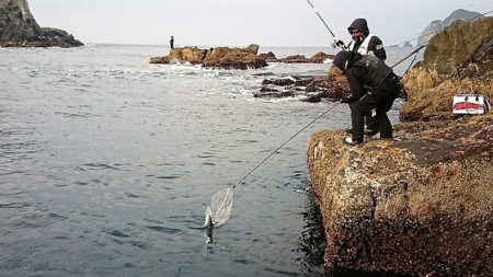 しば渡船 釣果