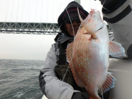 美里丸 釣果