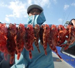 石川丸 釣果