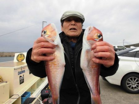 大進丸（新潟） 釣果