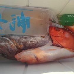 遊漁船 新鋭丸 釣果