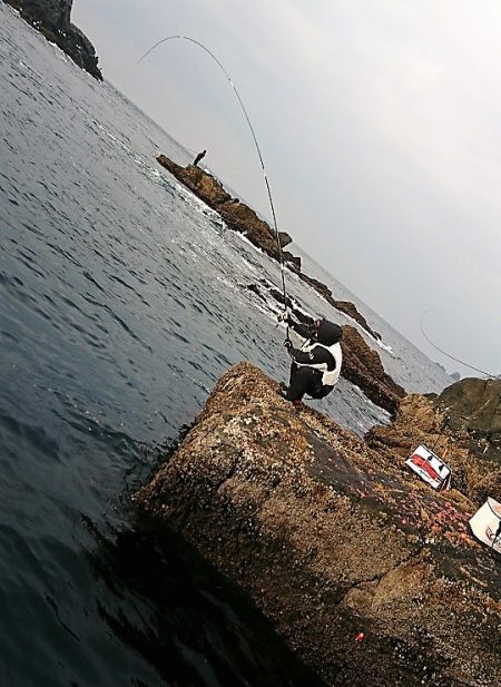 しば渡船 釣果