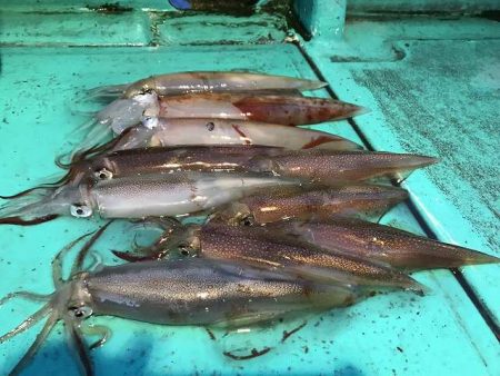 広進丸 釣果