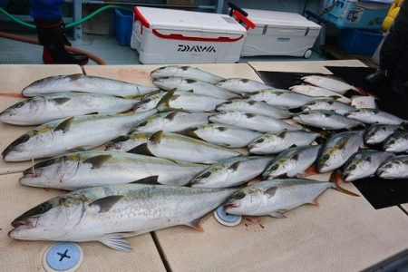 宝生丸 釣果