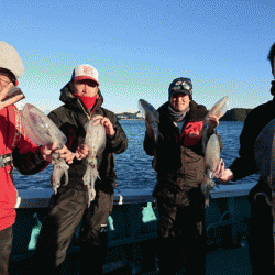 清和丸 釣果