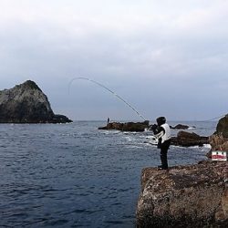 しば渡船 釣果