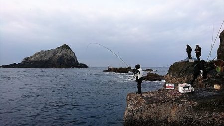 しば渡船 釣果