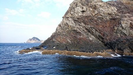 しば渡船 釣果