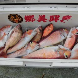 大進丸（新潟） 釣果