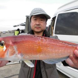 大進丸（新潟） 釣果