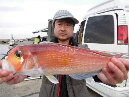 大進丸（新潟） 釣果