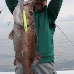 へいみつ丸 釣果