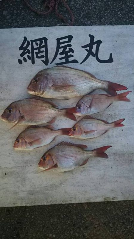 網屋丸 釣果