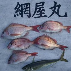 網屋丸 釣果