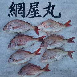 網屋丸 釣果