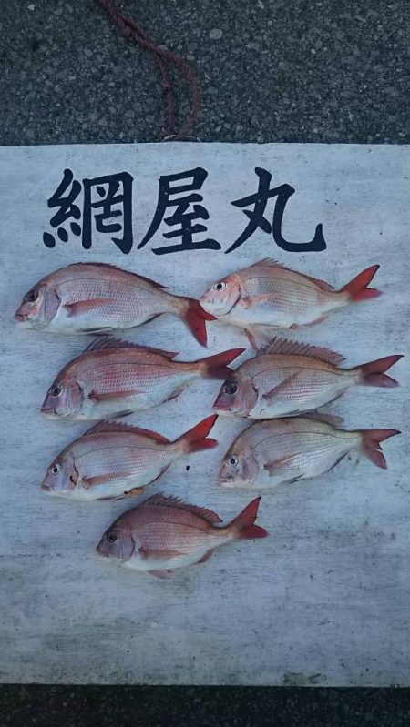 網屋丸 釣果