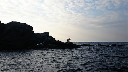 しば渡船 釣果