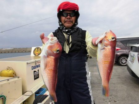 大進丸（新潟） 釣果