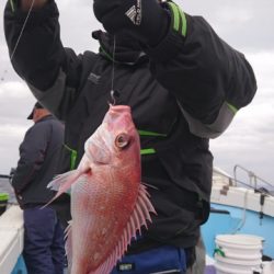 海晴丸 釣果