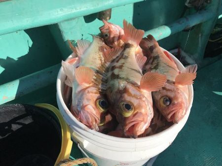 広進丸 釣果