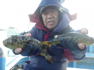 石川丸 釣果