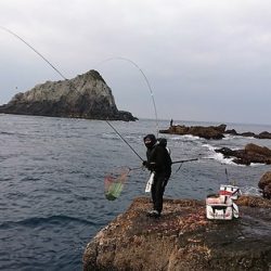 しば渡船 釣果