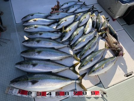 ふじしめ丸 釣果