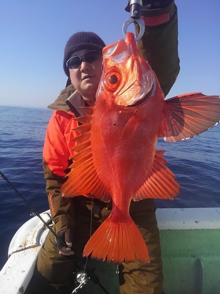 遊漁船 新鋭丸 釣果