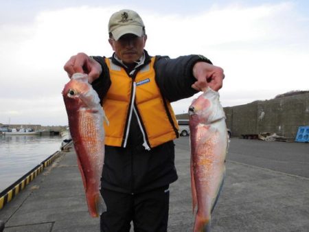 大進丸（新潟） 釣果