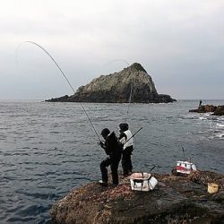 しば渡船 釣果