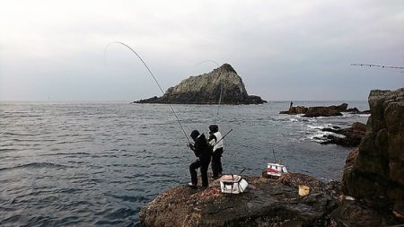 しば渡船 釣果