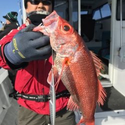 へいみつ丸 釣果