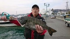 まこと渡船 釣果