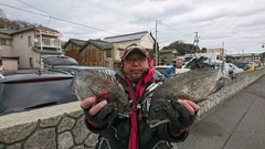 まこと渡船 釣果