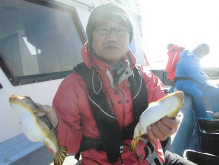 大進丸（愛知） 釣果