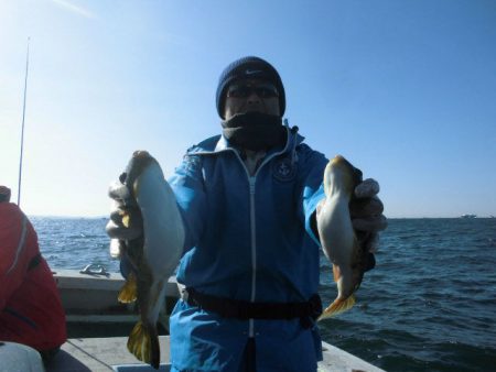 大進丸（愛知） 釣果