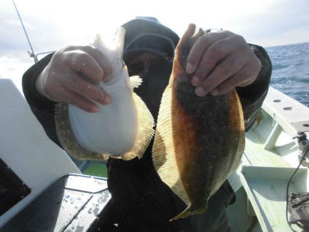 大進丸（愛知） 釣果