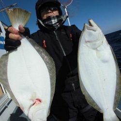 大進丸（愛知） 釣果