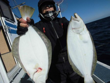 大進丸（愛知） 釣果