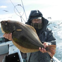 大進丸（愛知） 釣果