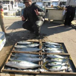 大進丸（愛知） 釣果